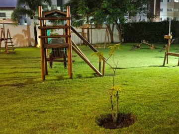playground